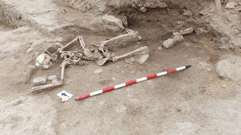 El cuerpo de un ajusticiado de la Guerra de los Dos Pedros hallado en una fosa del castillo de Guardamar del Segura