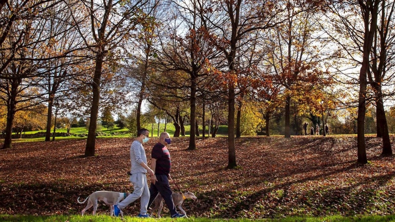 Vista del Parque de Invierno de Oviedo.