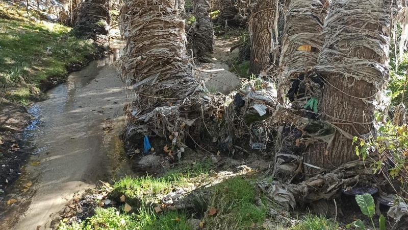 Tramo del arroyo de Valdebebas con árboles forrados por toallitas de papel higiénico secas.