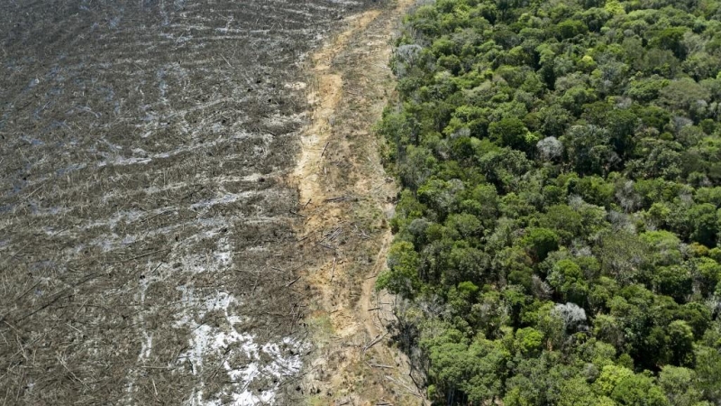 Vista área de la selva amazónica deforestada.