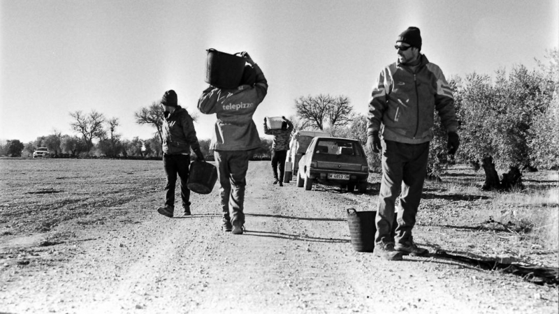 10/12/2020. La dura luz de La Mancha invernal calienta los huesos, pero lo mejor para entrar en calor es no parar de trabajar. - Eduardo C. Cañas