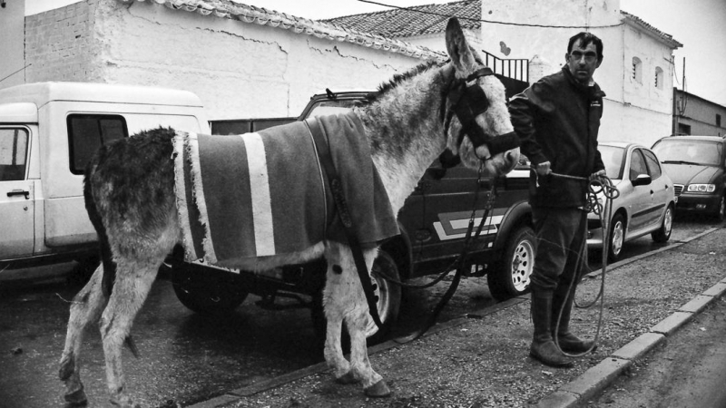 10/12/2020. En esta tierra, San Antón se sigue celebrando aunque esté lloviendo. Las tradiciones y el contacto directo con los animales es importante para los habitantes del lugar. - Eduardo C. Cañas