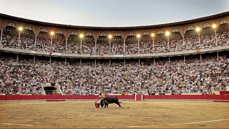 Maltrato animal: El Tribunal Supremo establece que la faena de un torero no  se puede registrar como obra de arte | Público