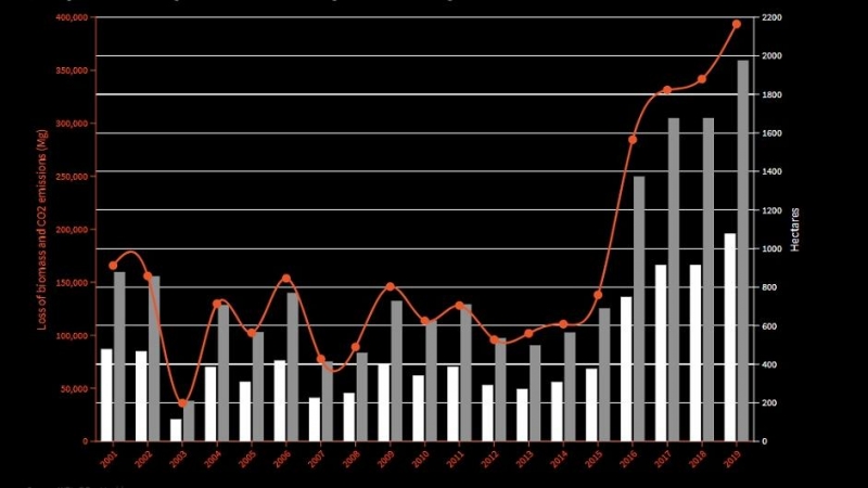 Emisiones de CO2 y pérdida de árboles y biomasa en las áreas protegidas Natura 2000 incluidas en Estonia.