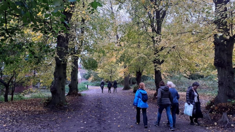 Hampstead Heath