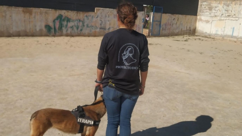 Una mujer con un perro en el Proyecto Escan.