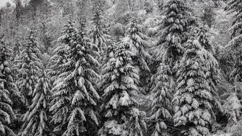 Nieve en Asturias