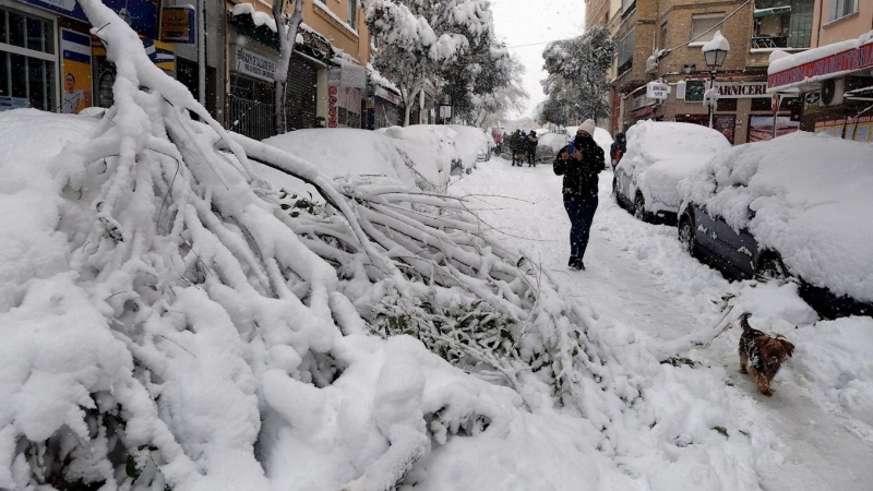 09/01/2021. En el barrio de Urgel, en Carabanchel, el peso de la nieve en los árboles ha provocado la caída de varias ramas encima de los vehículos. - EFE