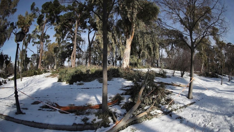 Zonas nevadas en el madrileño parque de El Retiro este viernes, seis días después del paso de la tormenta Filomena. El alcalde de Madrid, José Luis Martínez-Almeida, ha visitado hoy el parque para evaluar los daños ocasionados en el recinto cerrado al púb