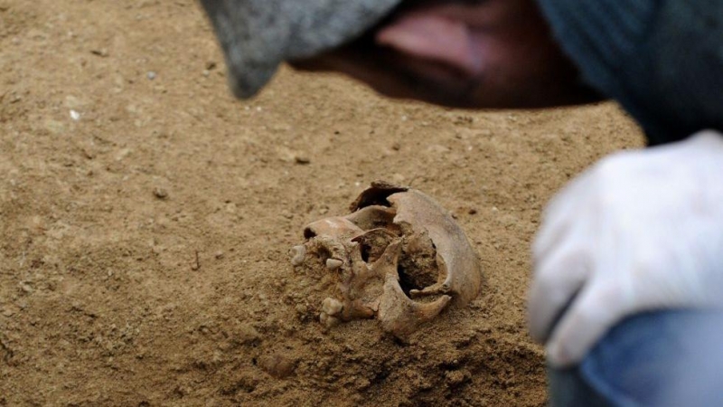 El arqueólogo de la fosa de Gerena descubre uno de los cráneos enterrados. CRISTINA QUICLER (AFP)