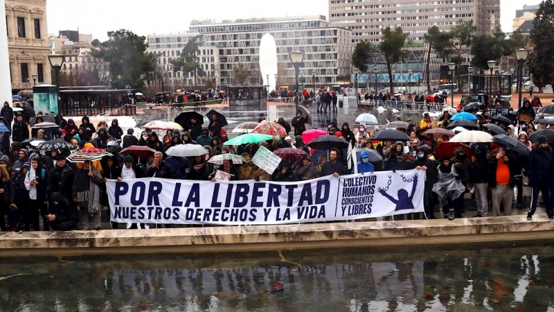 Varios participantes de la manifestación negacionista celebrada en Madrid.