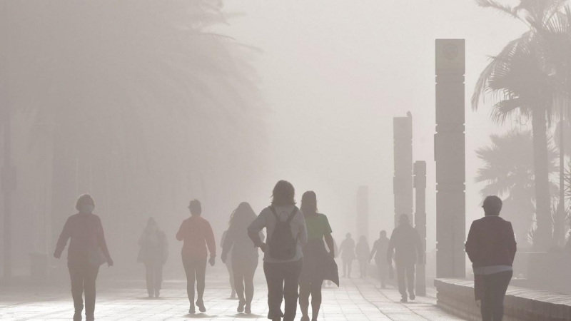 Vecinos de Almería pasean y hacen deporte por la playa y el paseo marítimo de Almería este viernes, aprovechando el aumento de las temperaturas a pesar de la espesa niebla que ha cubierto la ciudad.