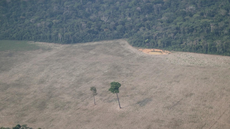 Vista aérea de la deforestación en el Amazonas