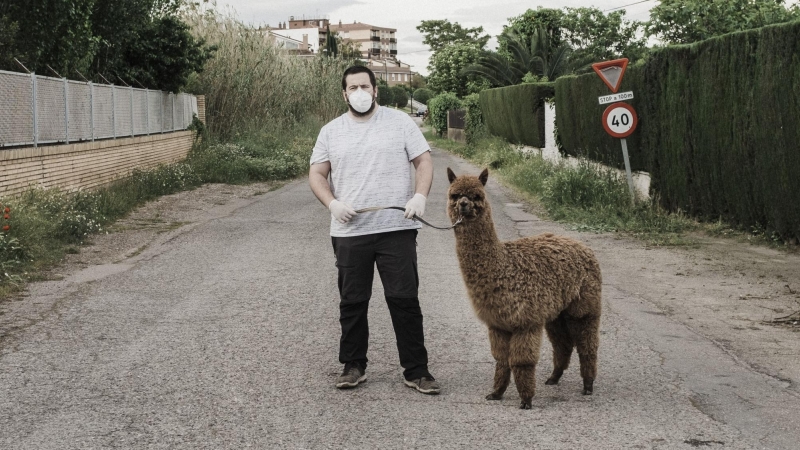 Un hombre, protegido con mascarilla, pasea con un animal por la calle. - Andoni Lubaki