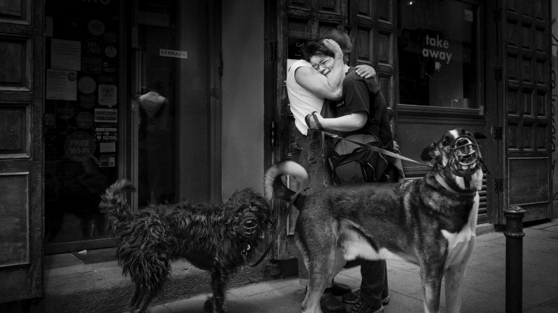 Un hombre abraza a una mujer mientras pasean a los perros. - Carmenchu Alemán