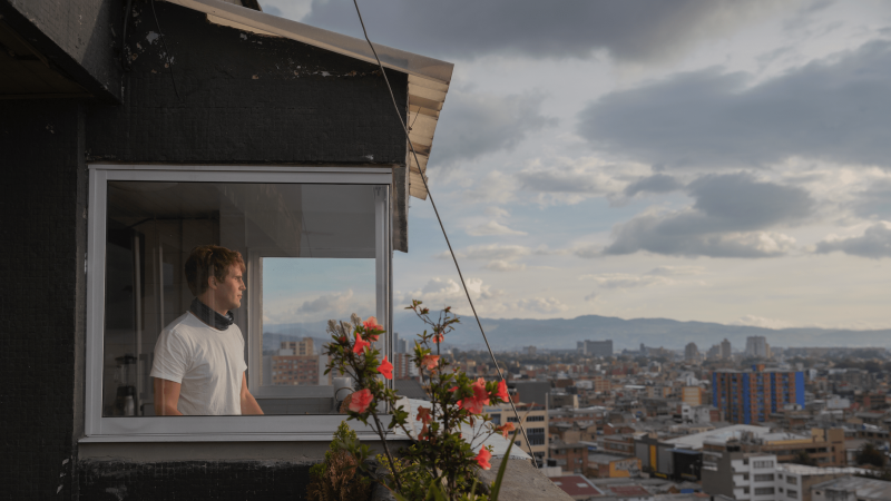 Un chico joven se asoma por la ventana. - Fabiola Ferrero