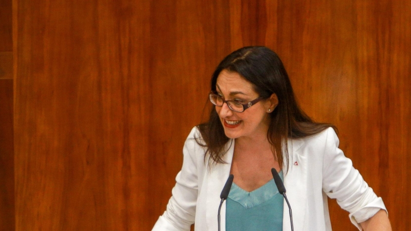 La diputada de Unidas Podemos Izquierda Unida Madrid en Pie en la Asamblea de Madrid, Soledad Sánchez