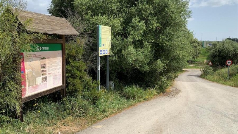 Sendero de Gerena (Sevilla) en el que esta mañana un toro bravo que se ha escapado de una ganadería ha herido a dos mujeres que hacían senderismo, una de ellas de gravedad.