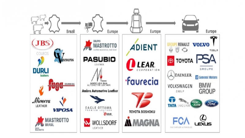 Vínculos entre deforestación de la Amazonía brasileña y la industria del automóvil.