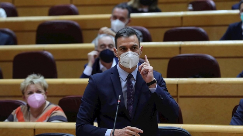 El presidente del Gobierno, Pedro Sánchez, durante la sesión de control al Gobierno en el pleno del Senado.