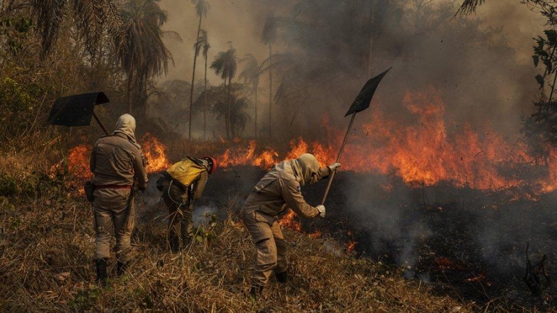World Press Photo. Medio ambiente, serie: Pantanal en llamas