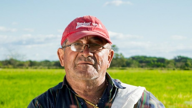 Un agricultor en el campo.