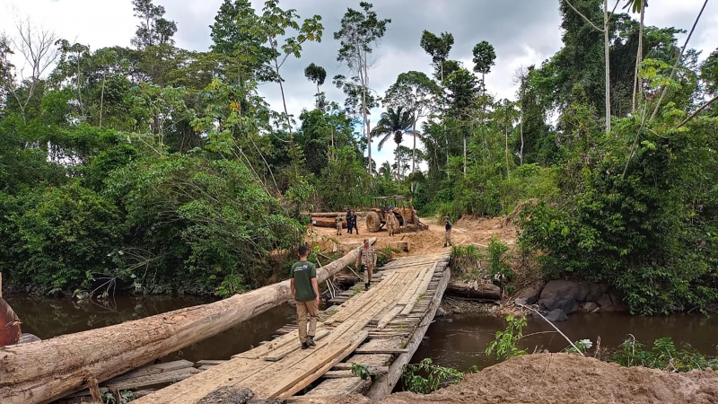 Operación Amazonia Viva, organizada por el estado brasileño de Pará. - ASCOM SEMAS PARÁ