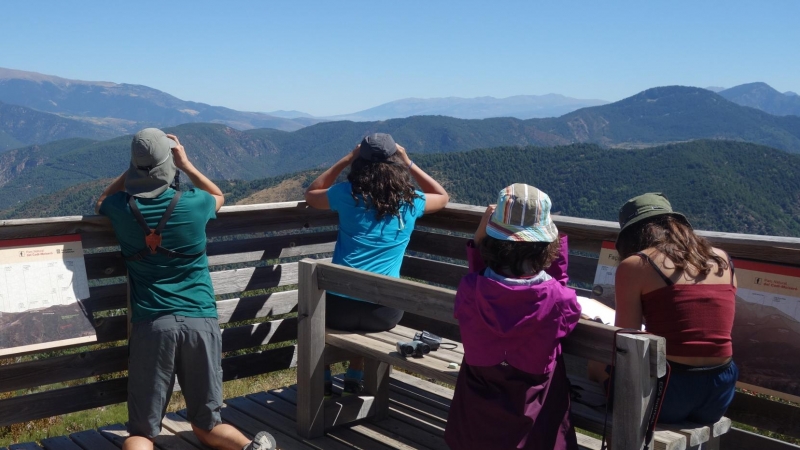 Nens i nenes en una activitat d’observació d’aus