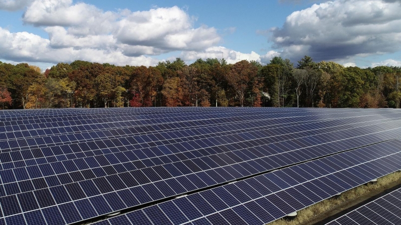 Un parque de paneles solares en EEUU.