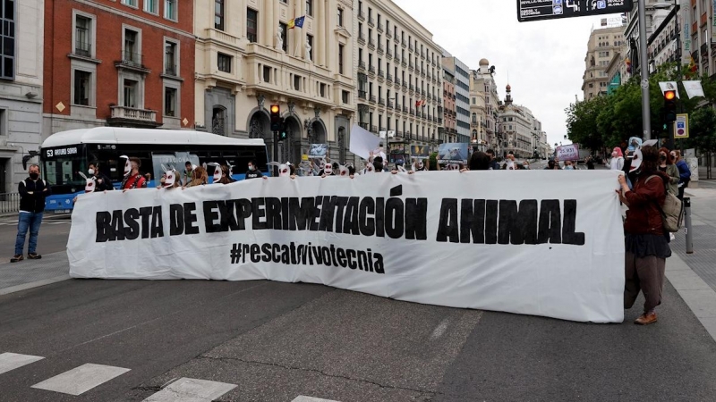 Protesta del 9 de mayo organizada por grupos animalistas para pedir la liberación de los animales del laboratorio de Vivotecnia en Madrid.