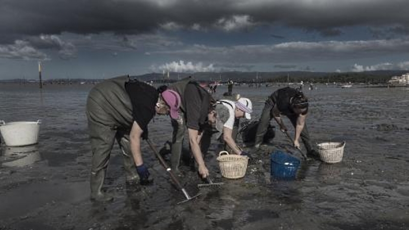 Las mariscadoras de Carril son alrededor de 90 y llevan acudiendo a mariscar desde que eran adolescentes. Raimon Moreno