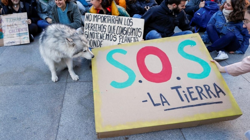 Manifestantes de Fridays For Future en una concentración frente al Congreso de los Diputados en Madrid en noviembre de 2019.