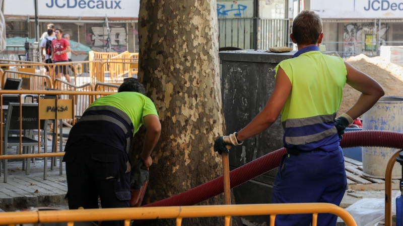 04/09/2019. Imagen de archivo de dos obreros trabajando, en Madrid. - EUROPA PRESS