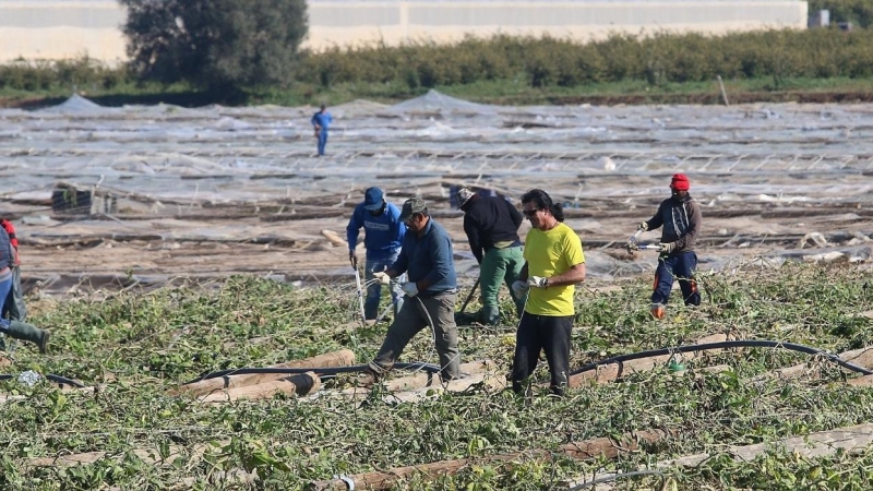 Invernaderos en Nijar (Almería) afectados por el temporal Gloria, en enero de 2020. E.P./Rafael González