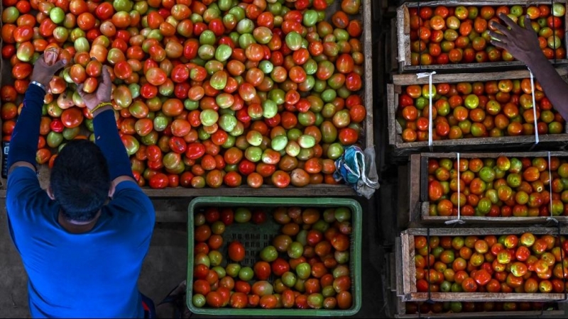 Imagen de archivo de un campesino de Sri Lanka junto a varias cajas de tomates.