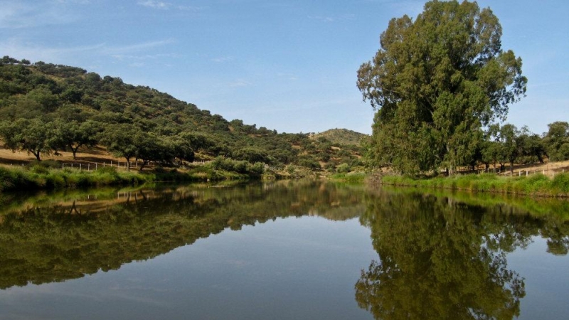 Río Guadalimar, afluente del Guadalquivir.