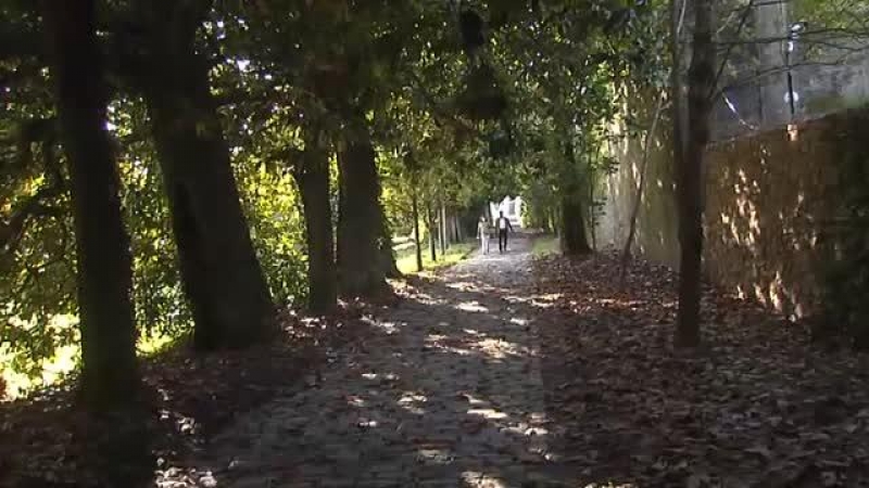 Familiares de víctimas del franquismo emocionados en su primera visita al Pazo de Meirás