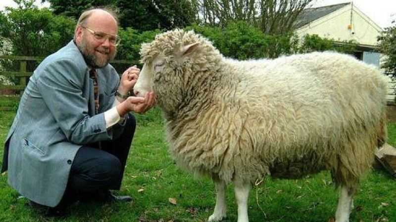 La oveja Dolly junto al científico Ian Wilmut.