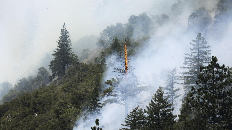 Una columna de humo en el incendio Dixie