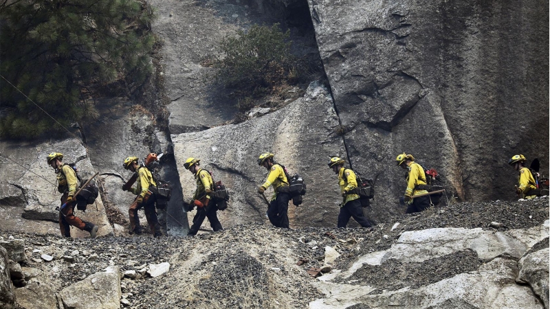 Los bomberos trabajan en fila en la extinción del fuego en California.