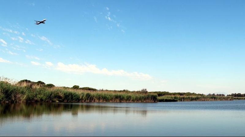 Imatge general de l'estany de la Ricarda.