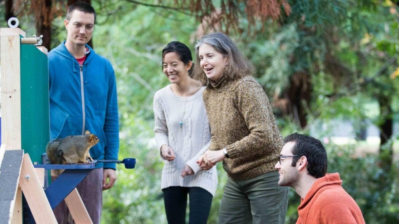 Ardilla zorro durante los experimentos realizados por los científicos en la Universidad de California. (De izquierda a derecha, Nate Hunt, Judy Jinn, Lucia Jacobs y Aaron Teixeira)