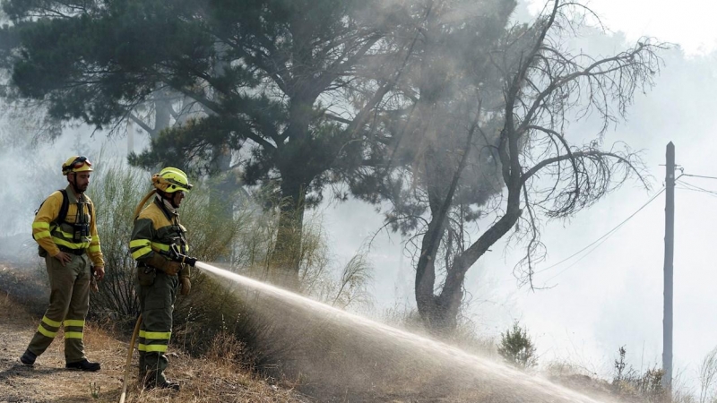 Medios aéreos y terrestres trabajando en la extinción del incendio declarado el viernes pasado en la localidad abulense de El Tiemblo