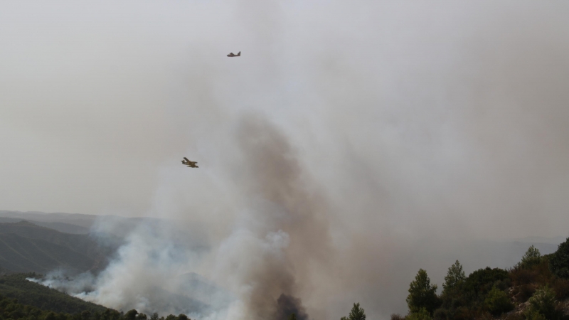 Tasques d'extinció del recent incendi de la Pobla de Massaluca, a la Terra Alta.