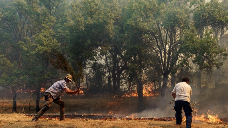 -Vecinos de Villarejo apagan un foco del incendio que se declaró el 14 de Agosto en Navalacruz (Ávila).