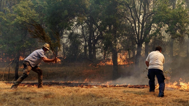 -Vecinos de Villarejo apagan un foco del incendio que se declaró el 14 de Agosto en Navalacruz (Ávila).