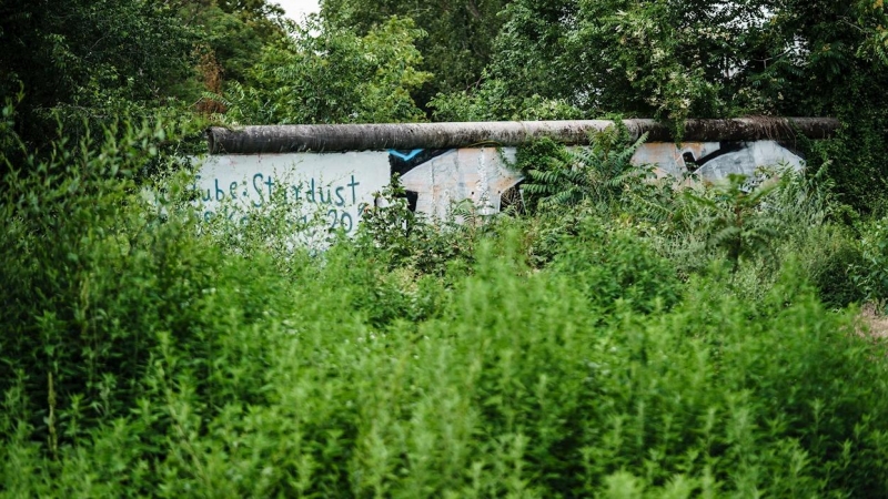 Berlín se erige en la ciudad verde por excelencia