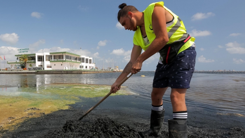 Contaminación en el Mar Menor.