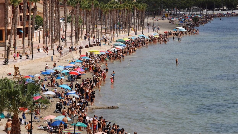 Miles de personas dan abrazo simbólico al Mar Menor de luto por fauna muerta