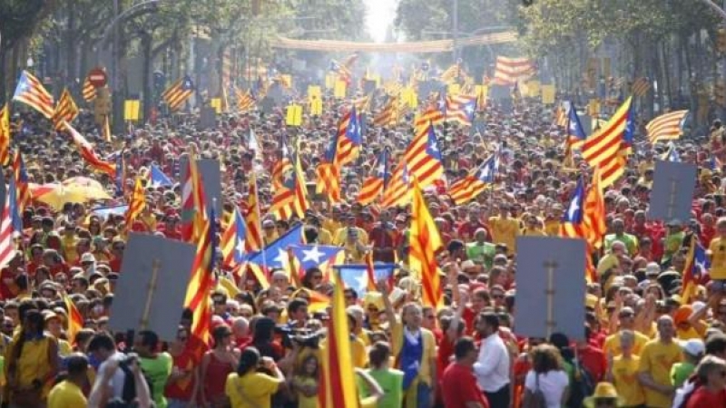 Diada Nacional de Catalunya de 2014, semanas antes de la consulta del 9N. JORDI BEDOS